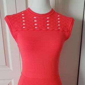 Ted Baker A-line knit dress